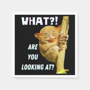 Lustigt Big Eyed Tarsier vad du Tittar på Pappersservett