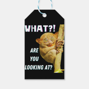 Lustigt Big Eyed Tarsier vad du Tittar på Presentetikett