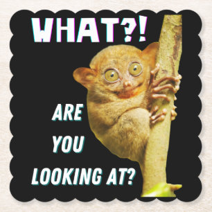 Lustigt Big Eyed Tarsier vad du Tittar på Underlägg Papper