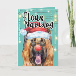 Lustigt Briard hund i ljus loppas navidog Kort