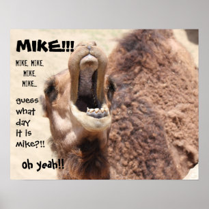 Lustigt Camel "fup Day" Gissa vilken dag det är MI Poster
