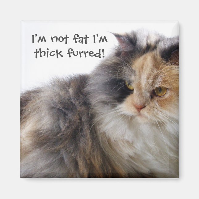 Lustigt Cat är inte Tjock! Tjock inredd Magnet (Framsidan)
