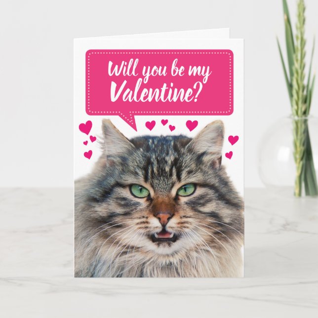 Lustigt Cat blir du min Valentine? Kort (Framsida)