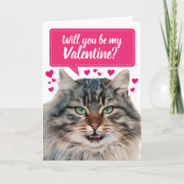 Lustigt Cat blir du min Valentine? Kort