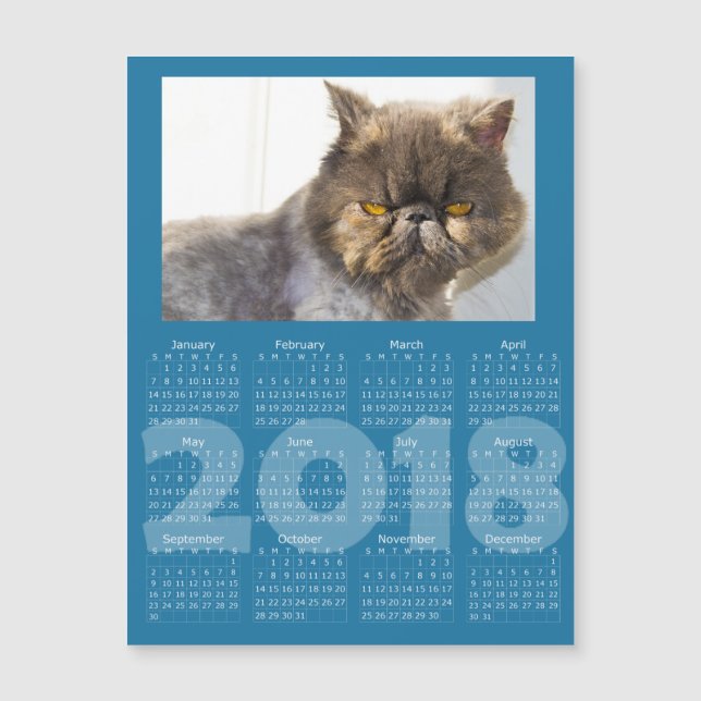 Lustigt Cat Blue 2018 Calendar Magnetic Card (Framsida)
