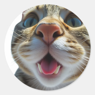 Lustigt Cat Close-Up Goofy Cute Cat Art Runt Klistermärke