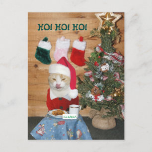 Lustigt Cat Eating Santa's Snack Helg Vykort