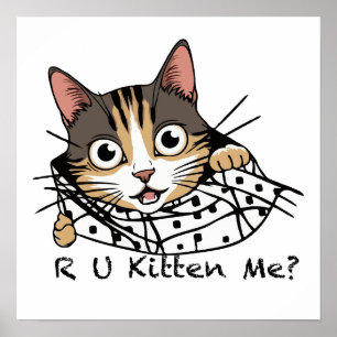 Lustigt Cat Peeking Sticker - Kitten mig? Poster