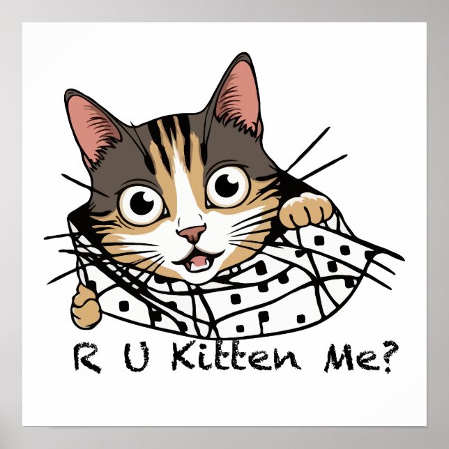 Lustigt Cat Peeking Sticker - Kitten mig? Poster (Framsidan)