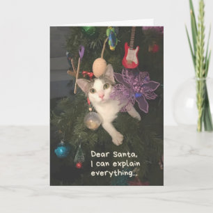 Lustigt Cat Santa I kan förklara hela julen Kort