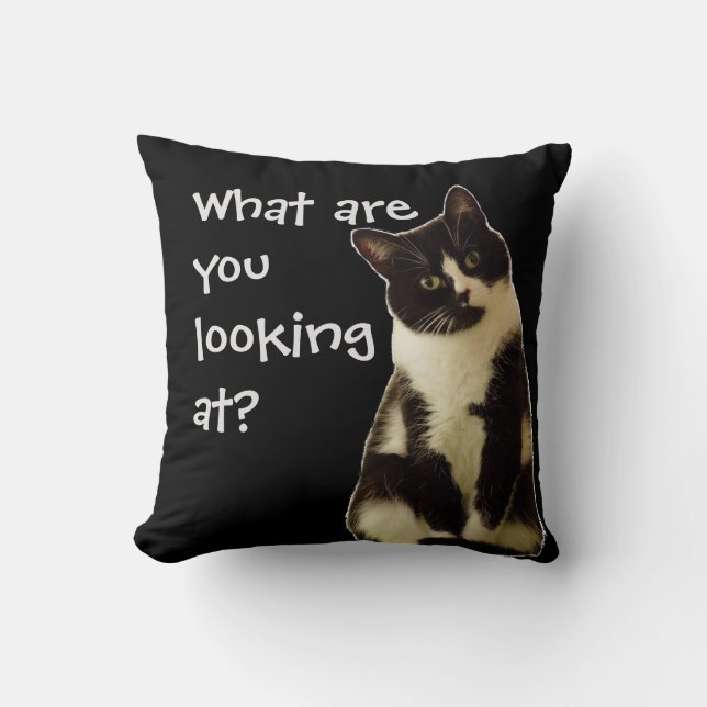 Lustigt Cat "Vad tittar du på?" Kudde (Framsida)