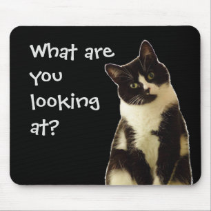Lustigt Cat "Vad tittar du på?" Musmatta