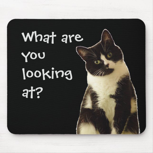Lustigt Cat "Vad tittar du på?" Musmatta (Framsidan)
