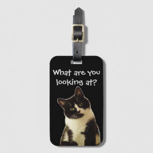Lustigt Cat "Vad tittar du på?" Slogan Bagagebricka