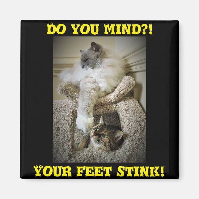 Lustigt cats-kåggarnet magnet (Framsidan)