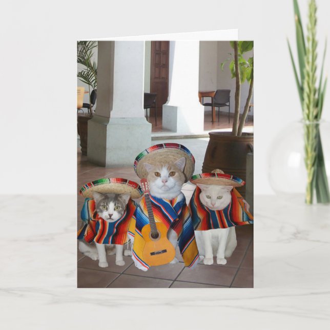 Lustigt Cats Spansk födelsedag för någon Kort (Framsida)