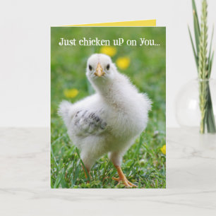 Lustigt Chicken checkar in på dig Kort