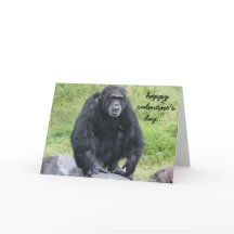 Lustigt Chimpanzee Valentine, vill du ha apa runt?