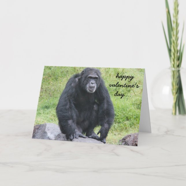 Lustigt Chimpanzee Valentine, vill du ha apa runt? Helgkort (Framsida)