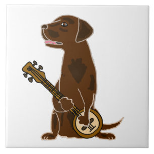 Lustigt Chocolate Lab Hund spelar Banjo Kakelplatta