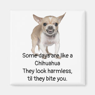 Lustigt citat om Life med Chihuahua Hund Magnet