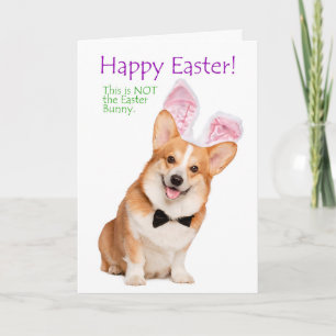 Lustigt Corgi Påsk-kort Kort