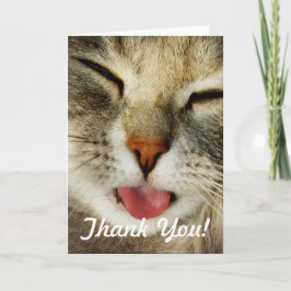 Lustigt Cute Cat Photo - tackkort