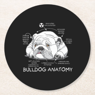 Lustigt Cute English Bulldog Anatomy Hund Biology Underlägg Papper Rund
