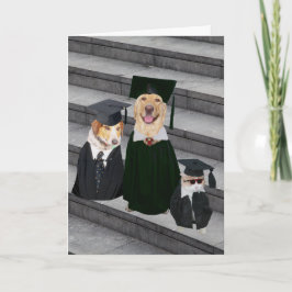Lustigt/Cute Hund Studenten Kort
