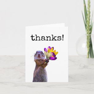 Lustigt, Cute, Squirrel, tack. Kort