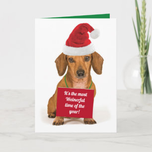 Lustigt Dachshund.. Det är den mest minnesvärda ti Helgkort