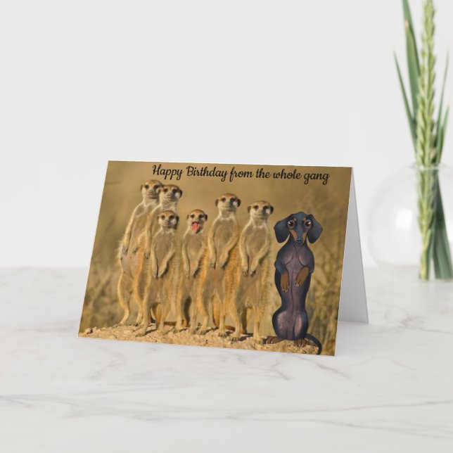 Lustigt Dachshund-födelsedagskort från Gang Kort (Framsida)