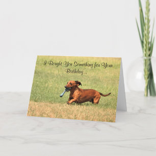 Lustigt Dachshund Grattis på födelsedagen-kort. Kort