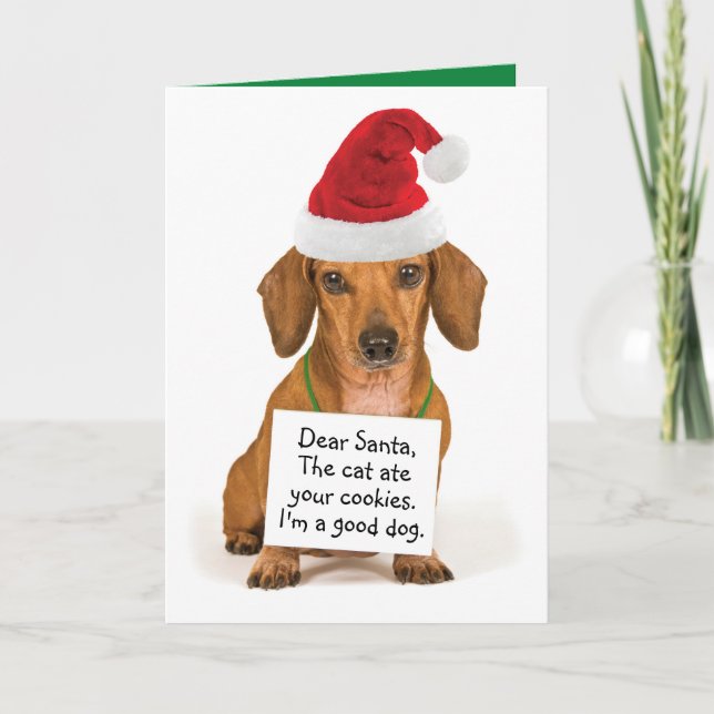 Lustigt Dachshund med skylt till jultomten Helgkort (Framsida)
