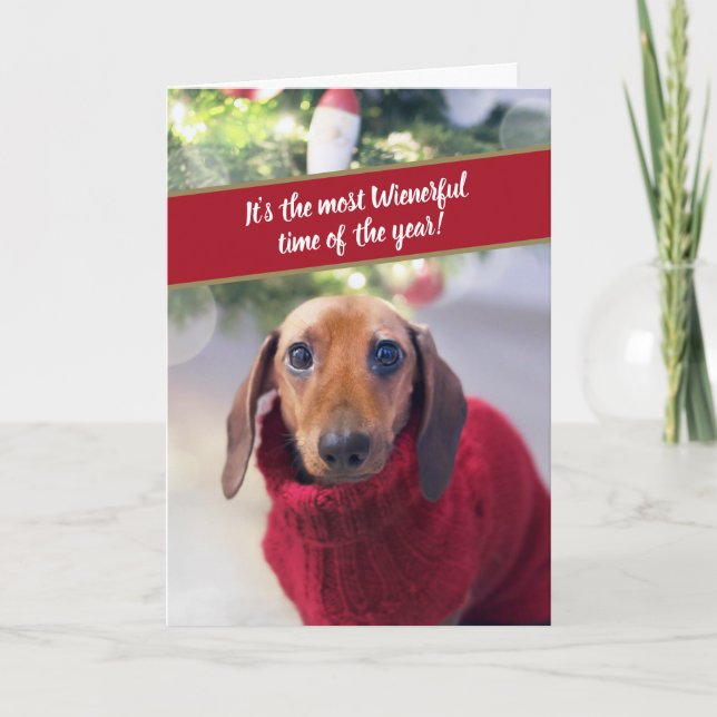 Lustigt Dachshund, mest vag tid på året Helgkort (Framsida)