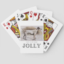 Lustigt det här är att jag är Jolly den här Hund H