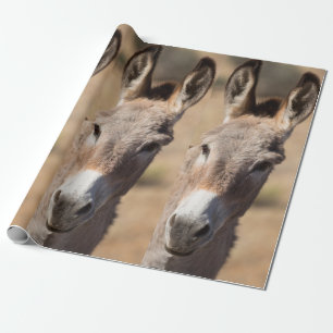Lustigt Donkey Ansikte Presentpapper