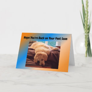 Lustigt få ett bra kort med Golden Retriever
