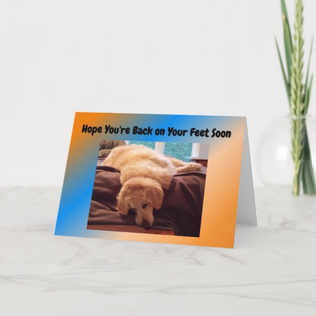 Lustigt få ett bra kort med Golden Retriever (Framsida)