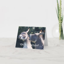 Lustigt Fars dag-kort med åsnor