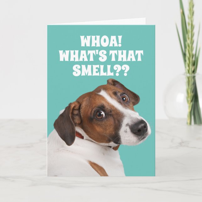 Lustigt Fart-Smelling-Hund för gamla Fart's Birthd Kort (Framsida)