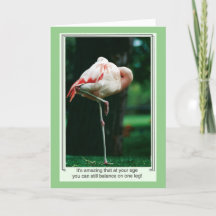 Lustigt Flamingo-födelsedagskort