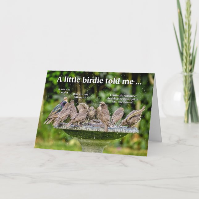 Lustigt födelsedagskort för badfåglar kort (Framsida)