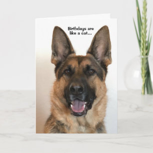 Lustigt födelsedagskort kort