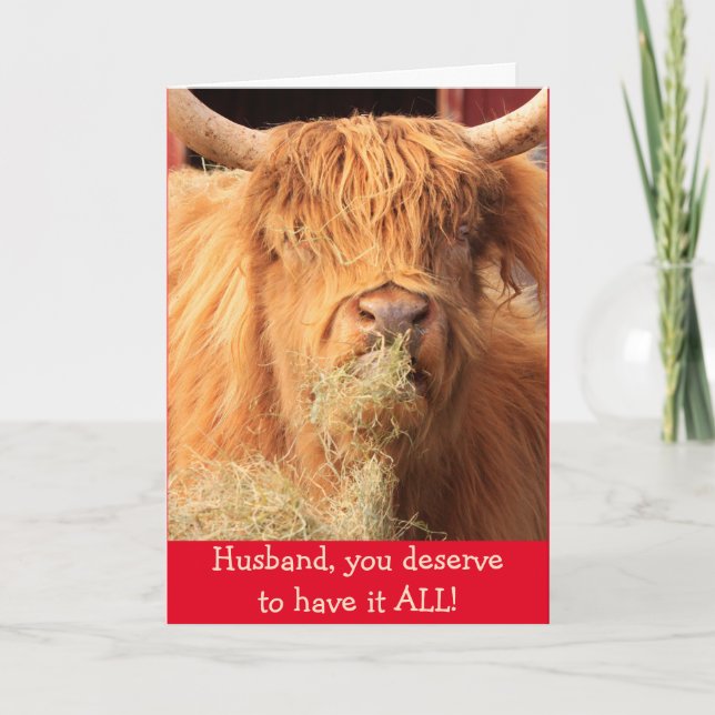 Lustigt för Make Scottish Steer Birthday Kort (Framsida)