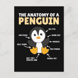 Lustigt förklarande av en penguin-anatomi vykort