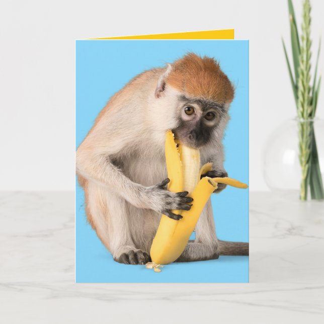 Lustigt foto av en Cute Monkey som äter en banana Kort (Framsida)