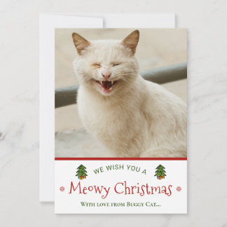 Lustigt från Kat Meowy Julfoto Julkort