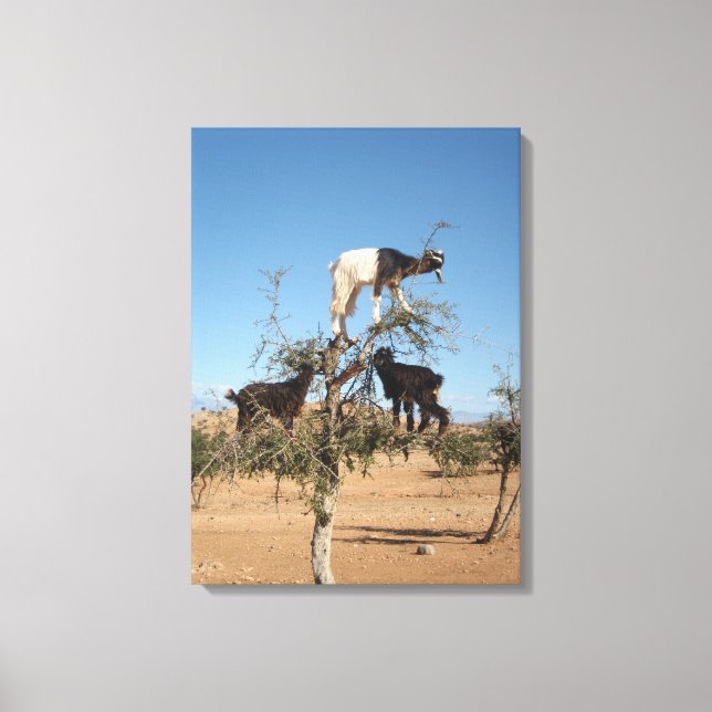 Lustigt getter i träd canvastryck (Framsida)