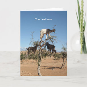 Lustigt getter i träd helgkort